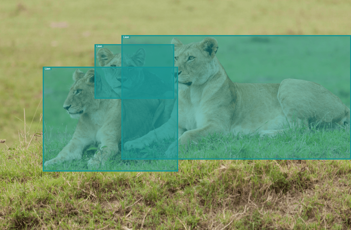 Annotating Bounding Boxes for Object Detection - SentiSight.ai