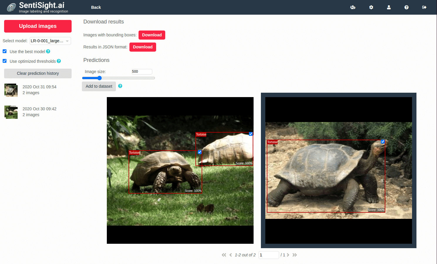 Tortoise / turtle prediction detection using pictures